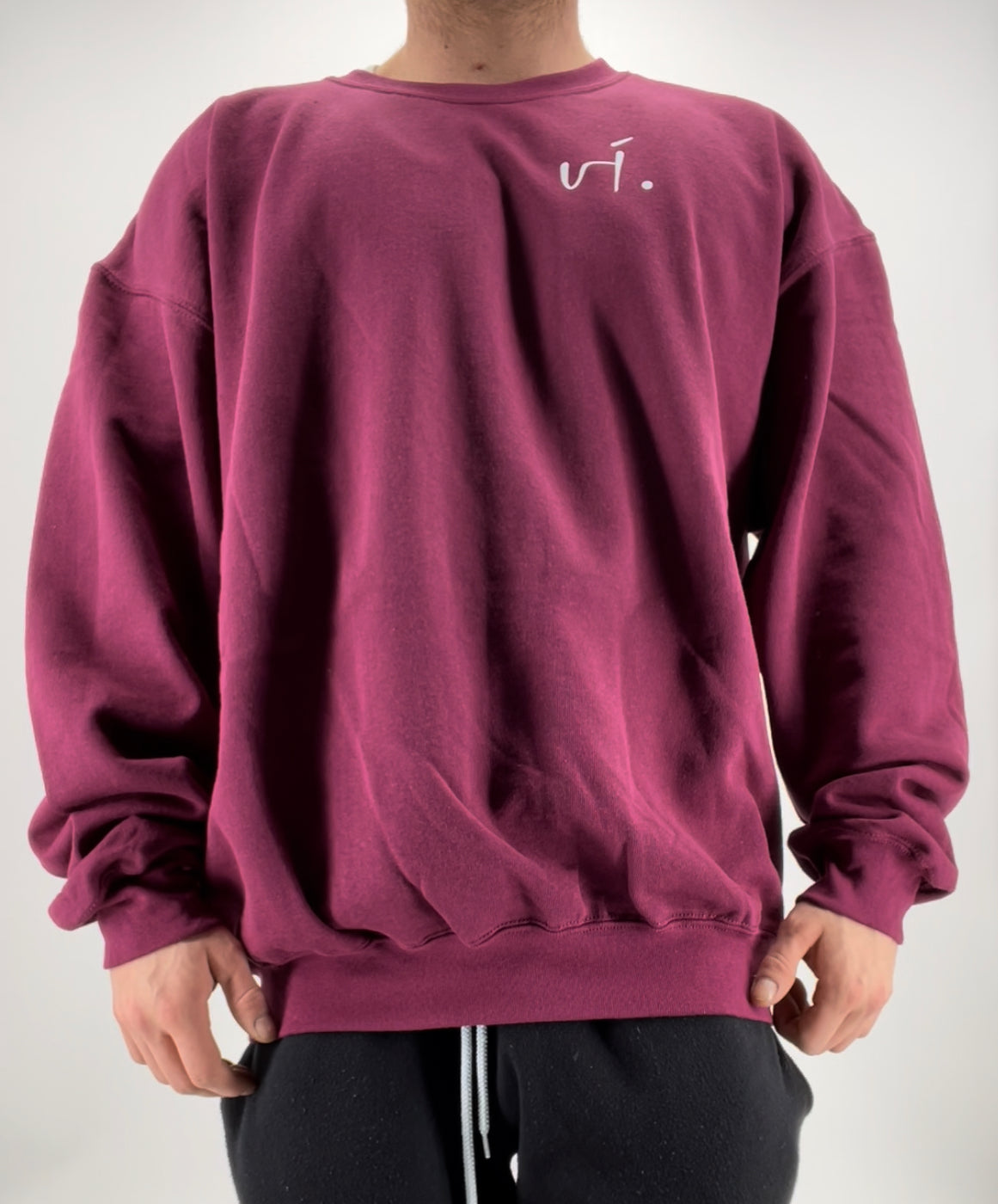 vi. Oversized Sweater Unisex